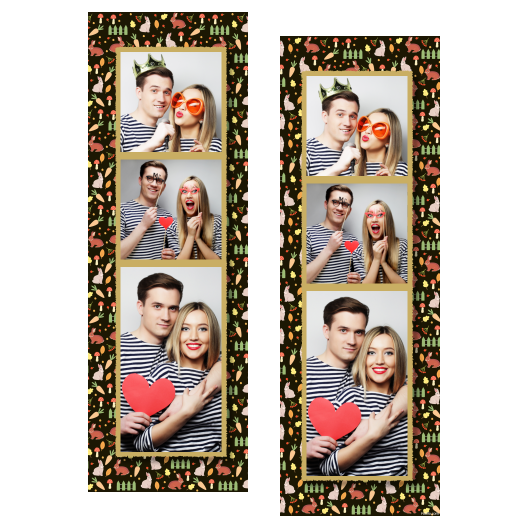 109-3-KKP-146-World_Rabbit_Day-015