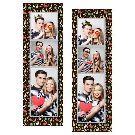 109-3-KKP-191-World_Rabbit_Day-015