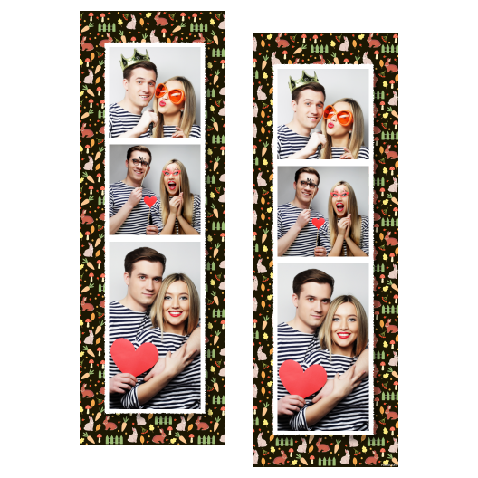 109-3-KKP-255-World_Rabbit_Day-015