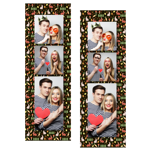 109-3-KKP-BR-World_Rabbit_Day-015