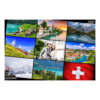 455-1-H-BR-Switzerland-015T