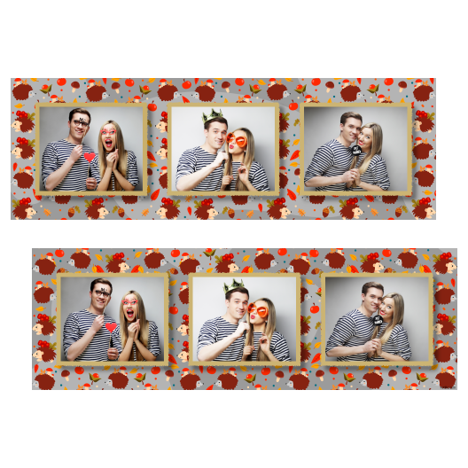 Hedgehog Day + leaves and fruits + 202 gray Hedgehog Day + leaves and fruits + 202 gray