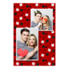 308-2-KP-255-Dice_Day-144
