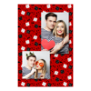 309-2-PK-BR-Dice_Day-144